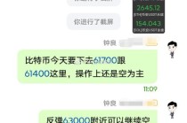 做空比特币是什么意思，做空比特币是什么意思呀