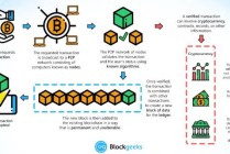 区块链比特币总结 - 区块链在比特币的应用原理