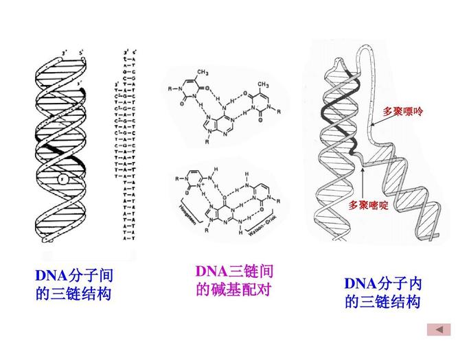 区块链垂直行业应用 - 区块链相关业务  第2张