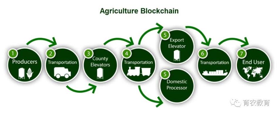 区块链农业服务（区块链技术农业）  第4张