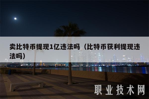 货币上能交易比特币吗（货币上能交易比特币吗为什么）  第4张