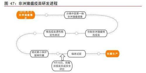 涉区块链被问询（区块链平台被骗能立案吗?）  第1张